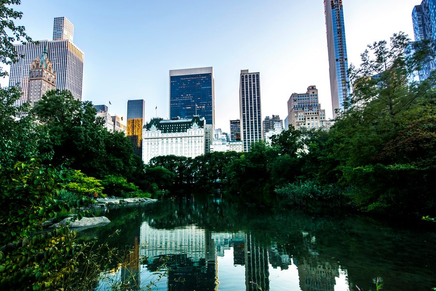 Comparison of rate changes across major lenders in New York (2025, 2026)