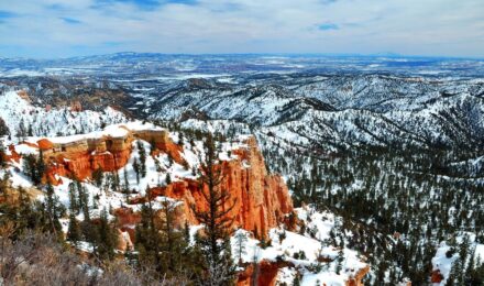 Credit card minimum payment increase after prime rate rise in Colorado